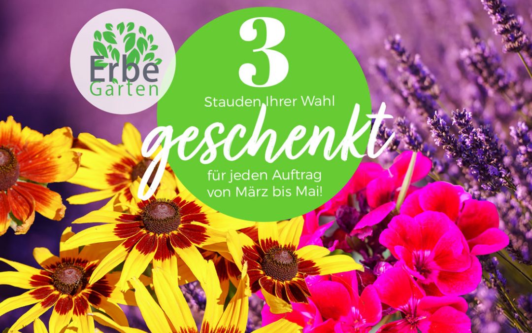 Geschenkt! Von März bis Mai