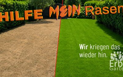 Hilfe mein Rasen!